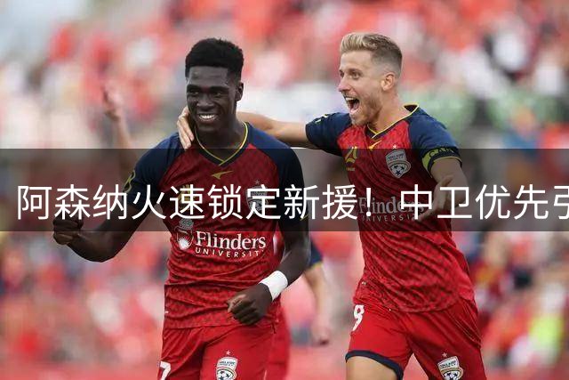 阿森纳火速锁定新援！中卫优先引援计划曝光